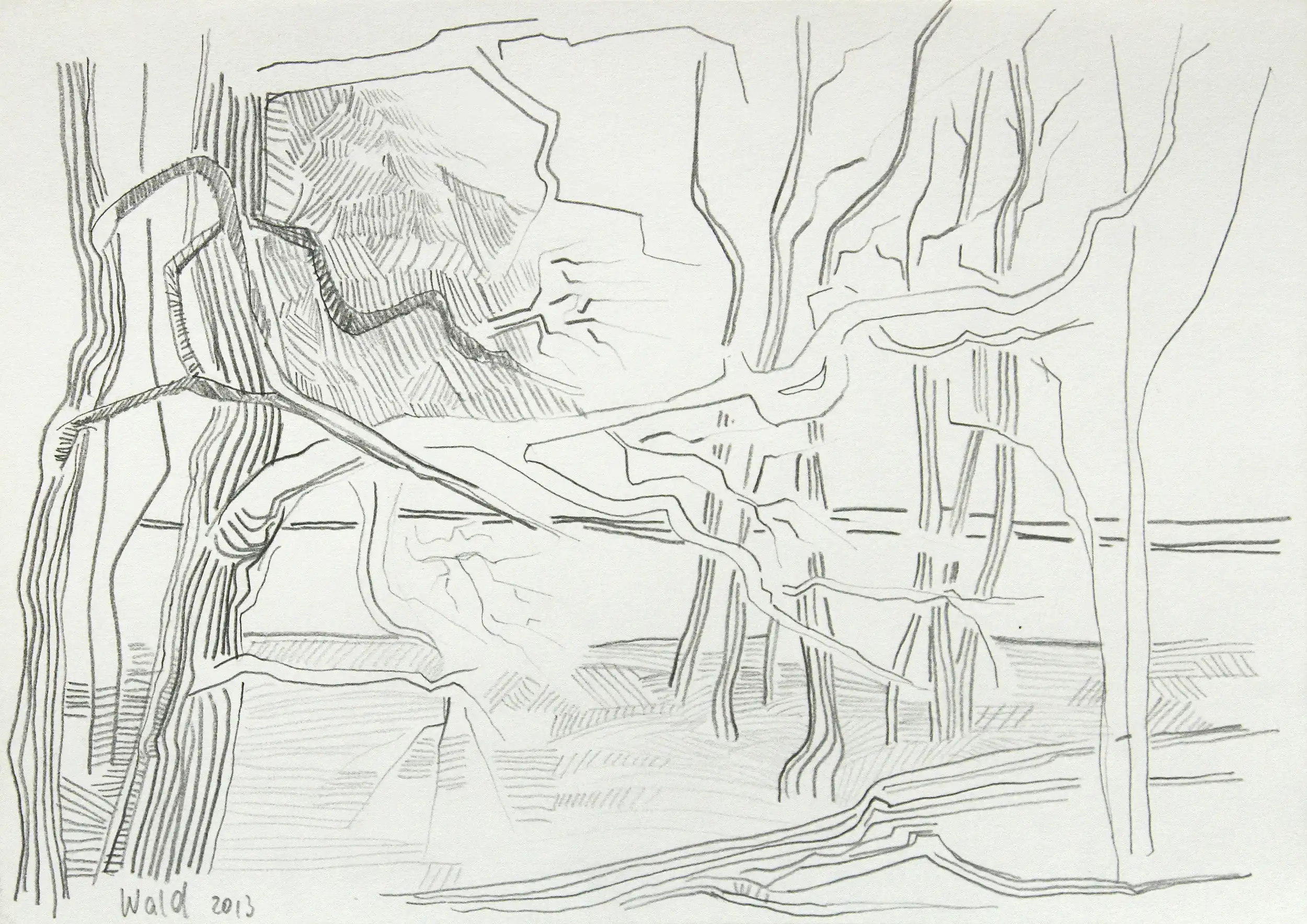 F.O. Haake: "Wald 2013", originale Zeichnung/Unikat auf Papier